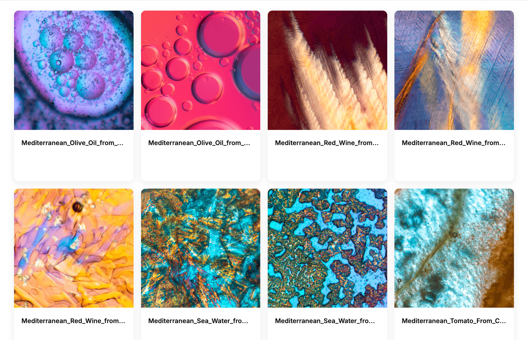 No Food Tomorrow - Eucarestia thumbnail